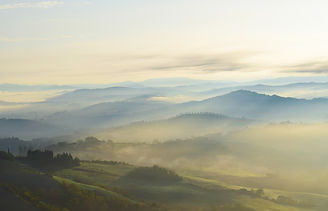 Image by Chris Barbalis
