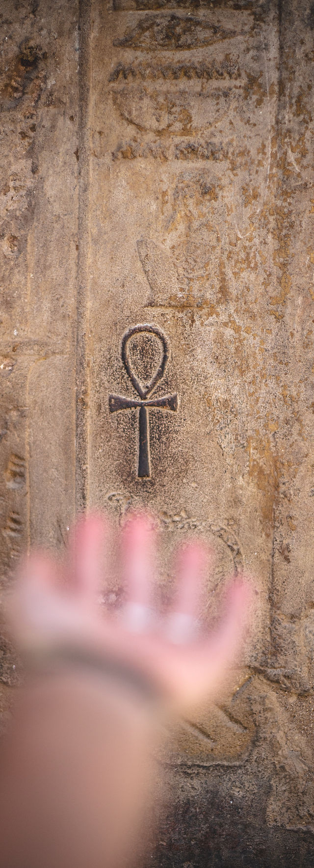 Image by rosario janza