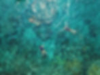 Image by Taylor Simpson