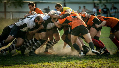 Image by Olga Guryanova