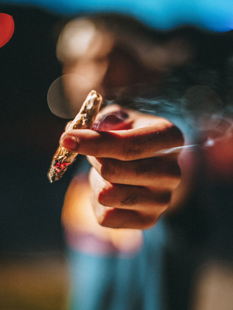 Best Weed Strains for Beginners: Effects, Benefits & How to Choose Best Cannabis Product’s