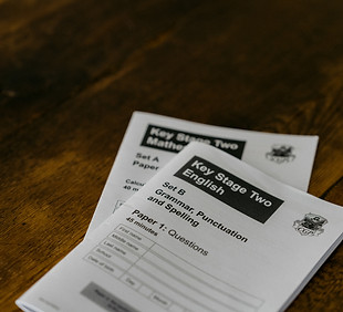 Image by Annie Spratt