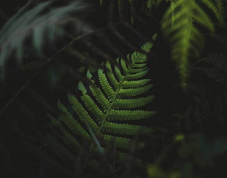 Image by Jeremy Bishop