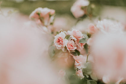 Image by Daiga Ellaby