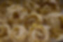 pasta ready to cook