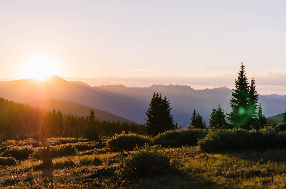 Image by Lucas Ludwig