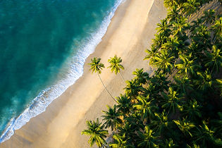 sri lanka nature