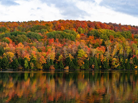 Sugarbush Resort