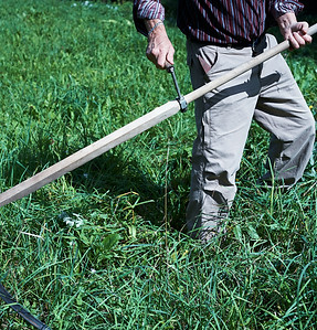 Image by Rasa Kasparaviciene