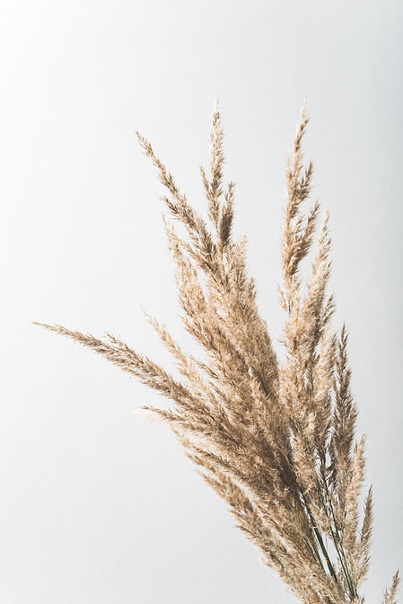 Image by Oscar Helgstrand