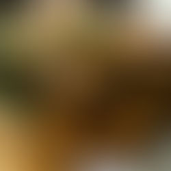 INNOVATIVE PARTNERSHIPS: HOW PRIVATE CHEFS AND RESTAURANTS CAN COLLABORATE TO BOOST BUSINESS