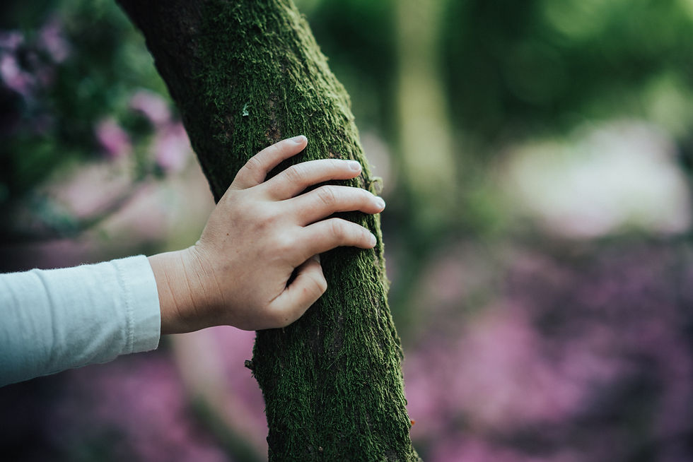 Touching a tree grounding techniques