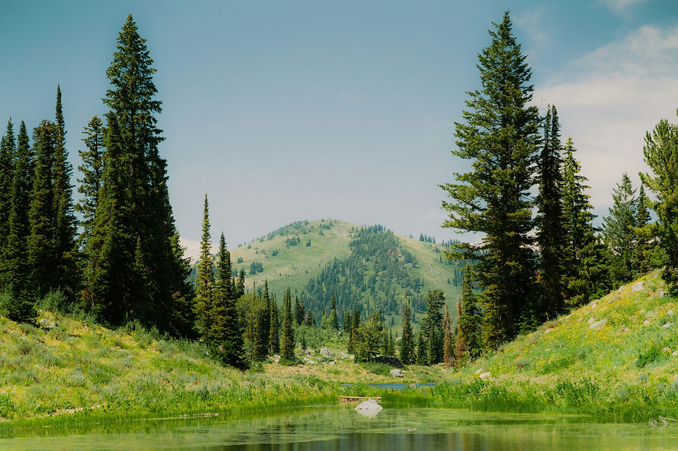 Image by Zach Kessinger