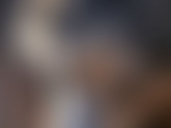 Hund mit aufmerksamem, intensivem Blick