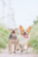 Image by Alvan Nee