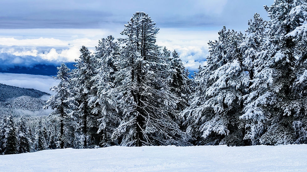 Miniatura: Skiing in Bulgaria - 4 Nights
