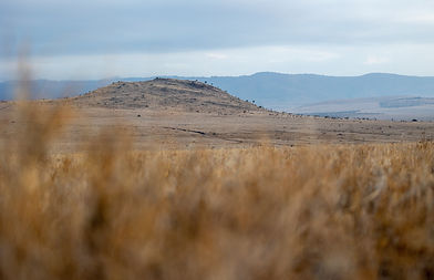 Image by Matt Bango
