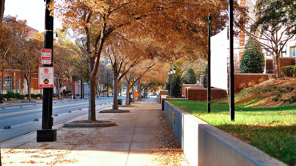 Sidewalk with autumn trees and city street.