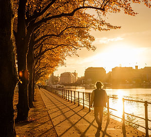 Image by Alexander Bagno