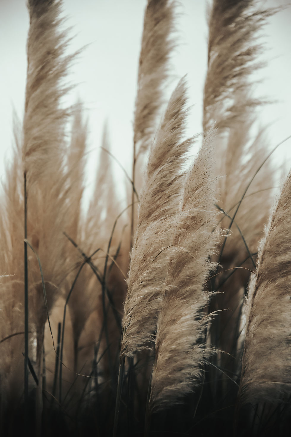 Image by Taylor Beach