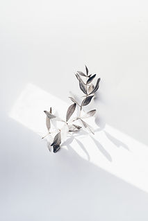Image by Evie S.