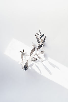 Image by Evie S.