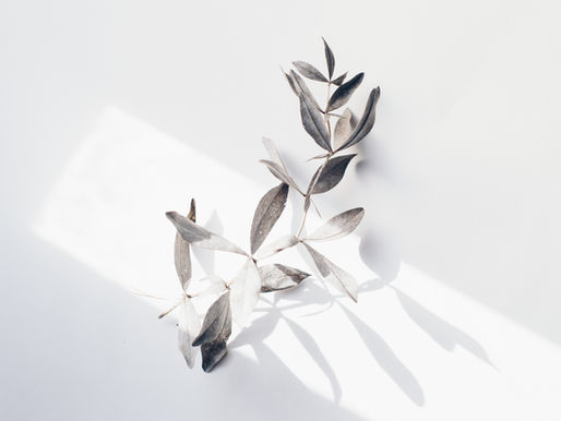 September Wisdom Note #2: The Beauty of Simplicity