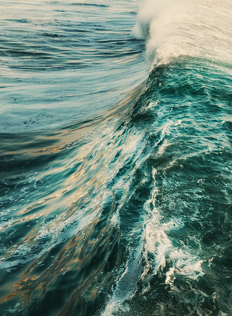 Image by Dylan Sauerwein