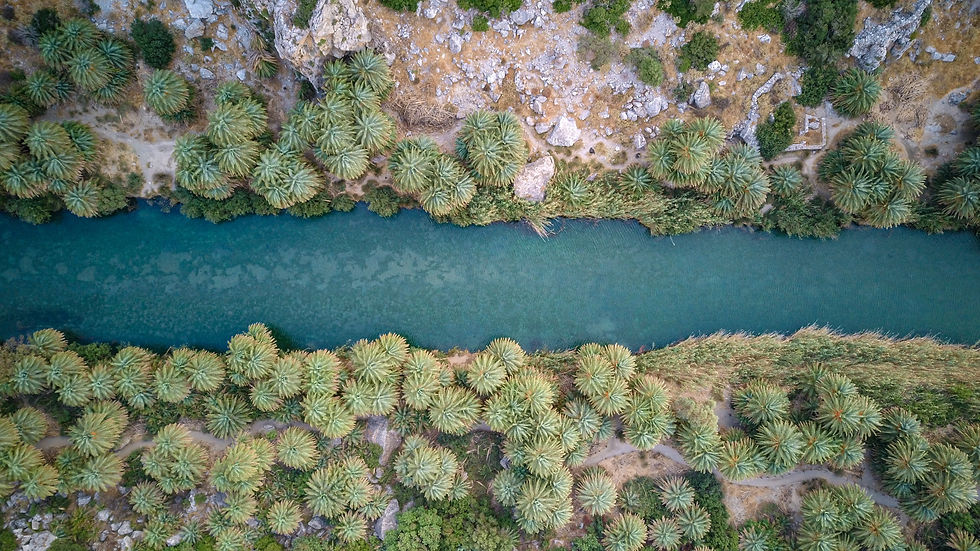 Image by Joshua Kettle