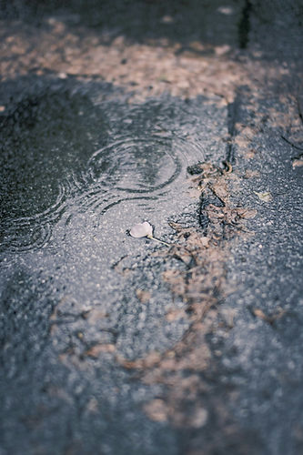 Image by Sandra Grünewald