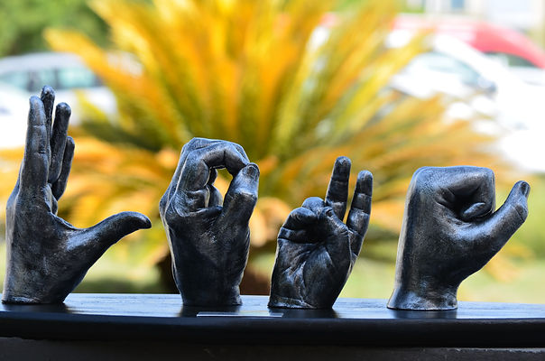 Image by Supriya Chauhan