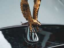 Image by Mayer Tawfik