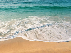 A Winter Welcome for Buyers