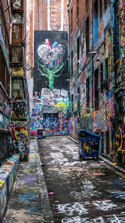 Image by James Garman