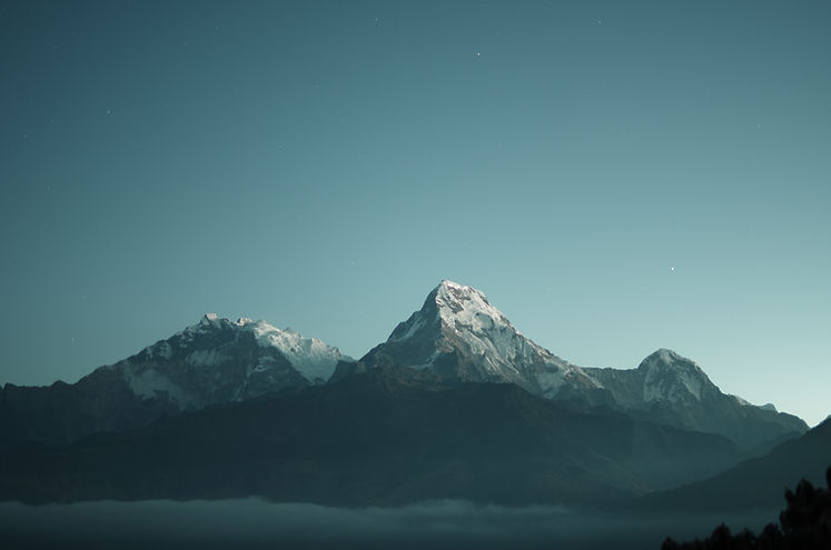 Image by Daniel Leone