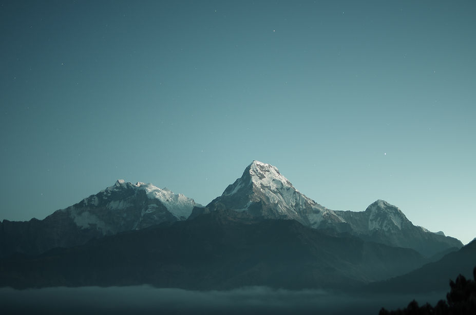Image by Daniel Leone