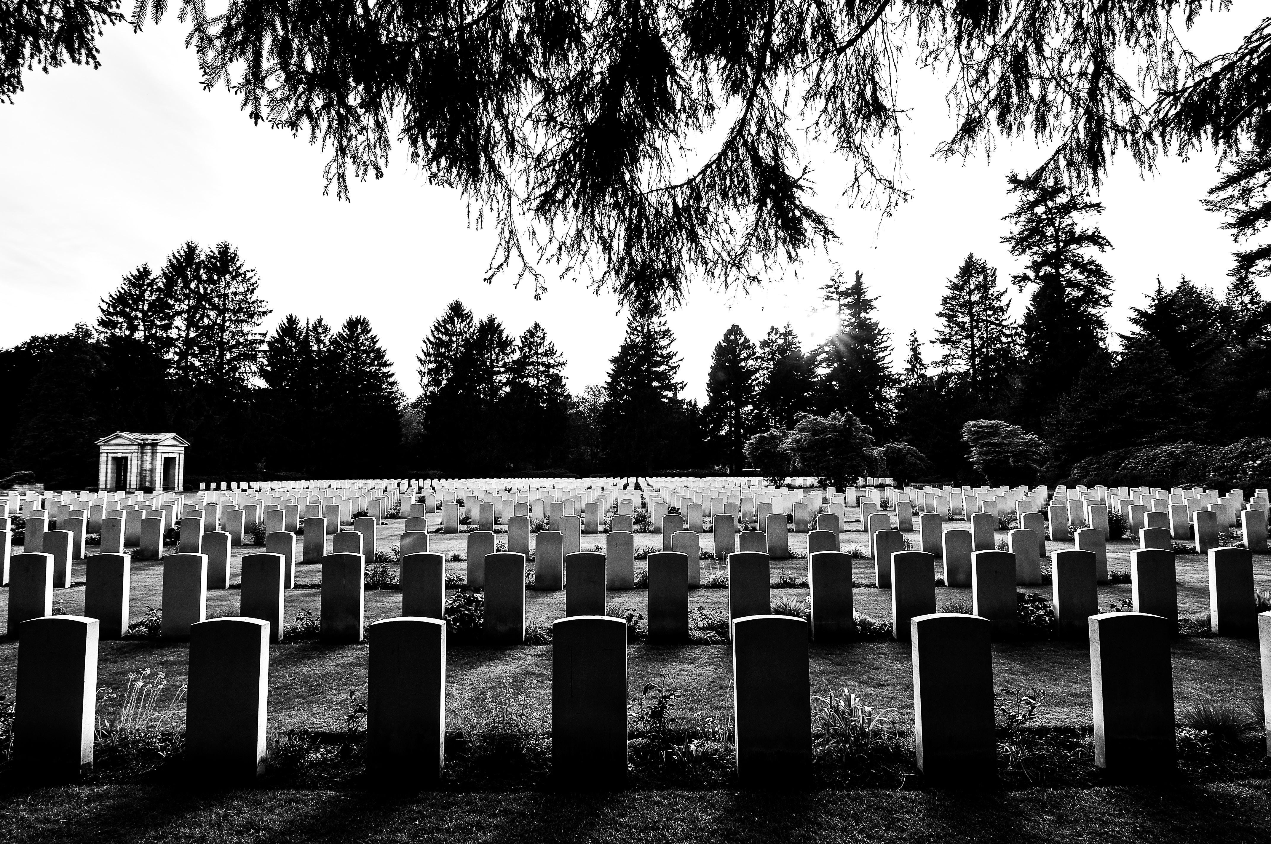 Excess deaths from The Jab point to a depopulation agenda content media