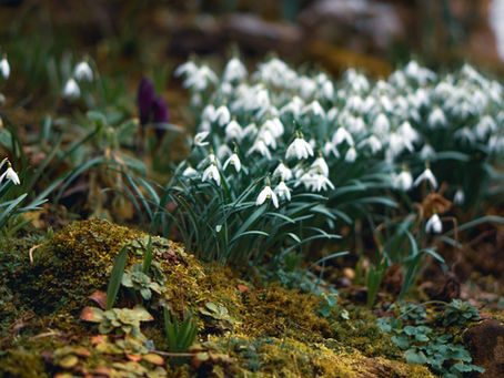 "Are there 5 stages of grief? Why am I not feeling them?"