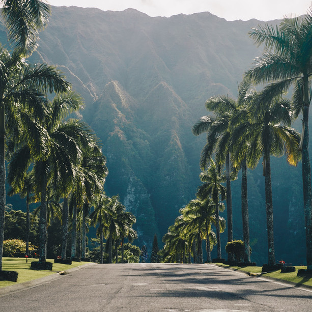 Aloha, Explore Hawaii
