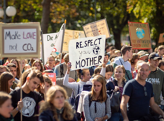 Image by Mika Baumeister