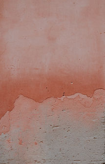 Image by Annie Spratt