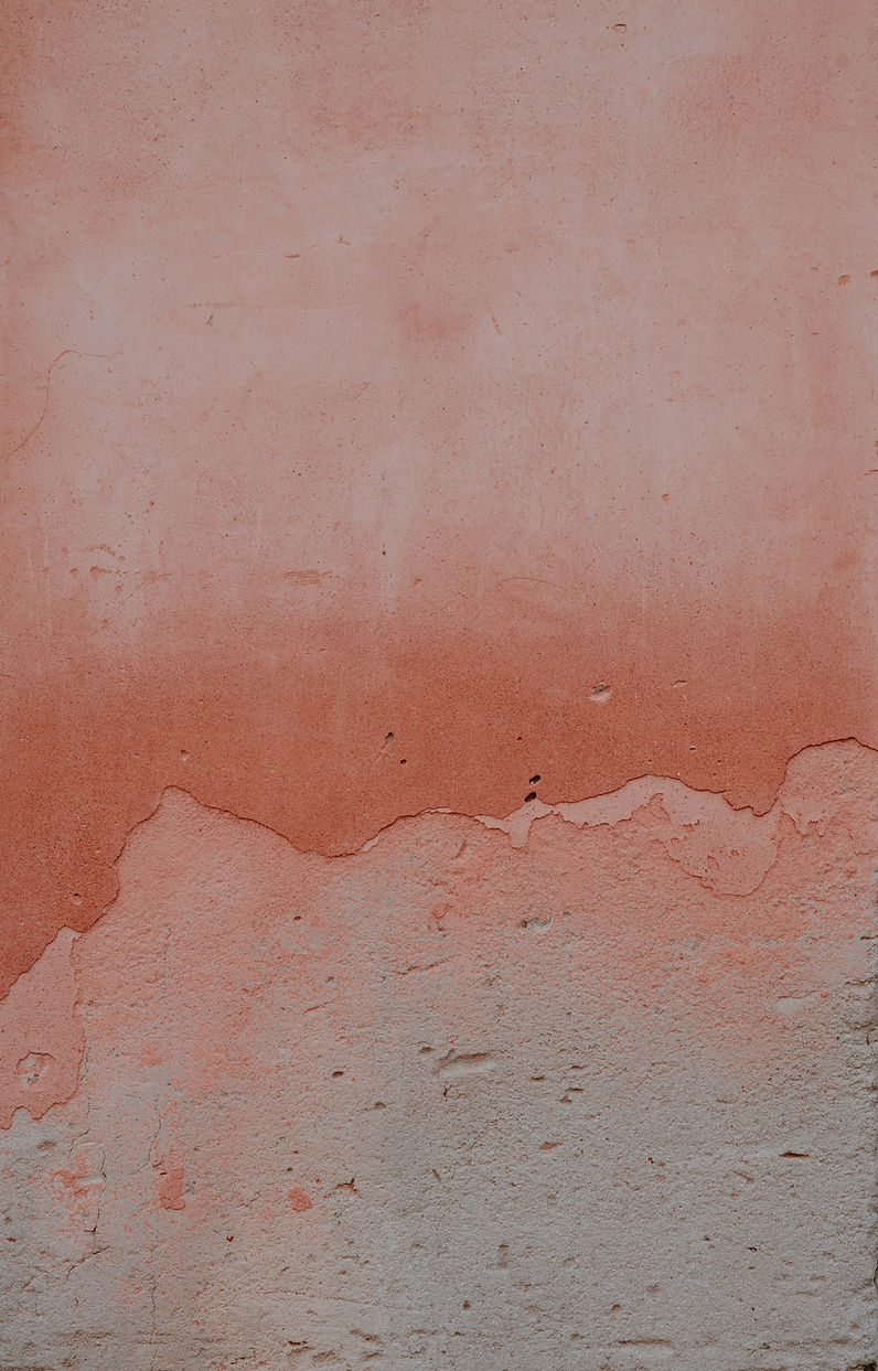 Image by Annie Spratt