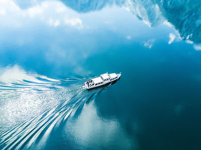 Image by Willian Justen de Vasconcellos