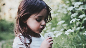 Your Home First Aid Kit: A practical guide to the remedies every mother should know.