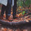 Thumbnail: Autumn Stroll