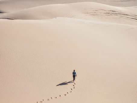 DESERT WANDERER