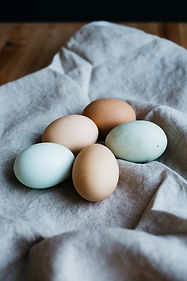 Image by Rachael Gorjestani