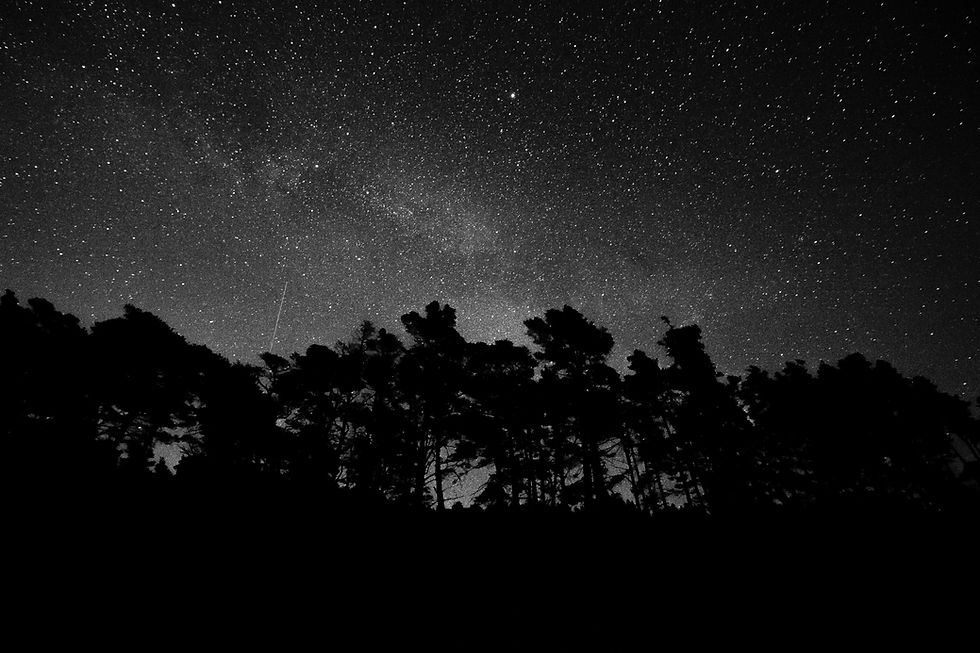 Image by Elvis Bekmanis