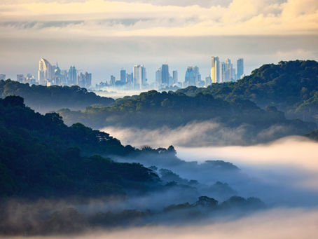 Panamá acelera su transición verde con el desarrollo del Mercado Nacional de Carbono