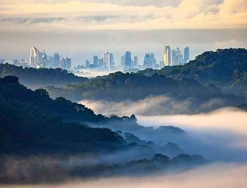 Image by Zdeněk Macháček